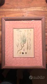 Quadro
