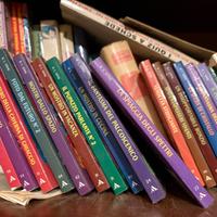 Piccoli brividi collezione di 17 numeri