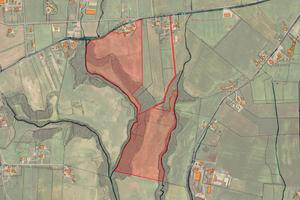 Fiumicino (RM) - Terreno di 22 ha. | TR337