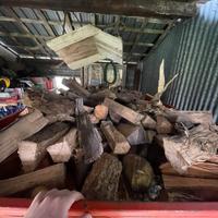 Legna secca da ardere