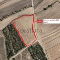 Terreno agricolo Sestu