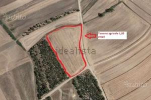 Terreno agricolo Sestu