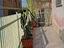 Immagine 29