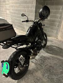 Benelli Leoncino Trial 500