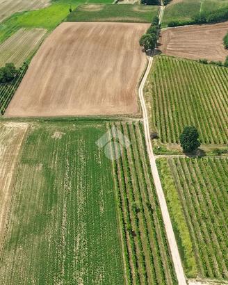 TER. AGRICOLO A CALVAGESE DELLA RIVIERA
