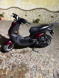 Motorino 50- Peugeot Ludix