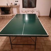 Tavolo da ping-pong 