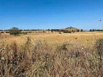 Terreno agricolo edificabile