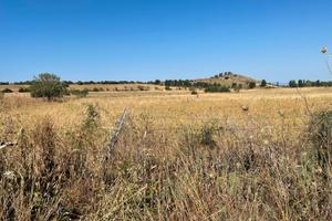 Terreno agricolo edificabile