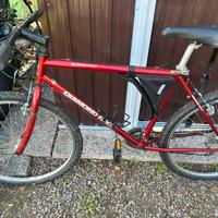 MTB uomo