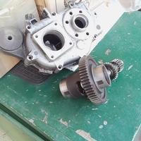 Carter Diff, Ape50 e ingranaggi 