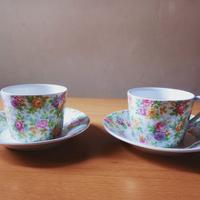 Due Tazze Fiorate con piattino Fontebasso Treviso 