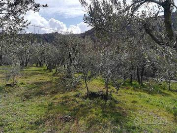 Terreno di 1500 m² a Terni