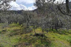 Terreno di 1500 m² a Terni