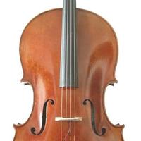 violoncello