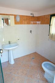 Vendita terreno e casolare