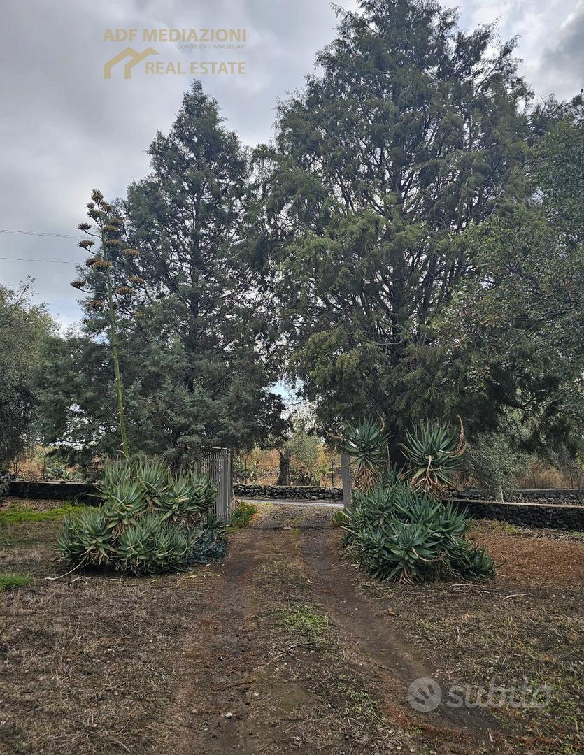 Terreno Agricolo Con Piccolo Rudere - Altro