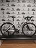 scott-speedster-50-