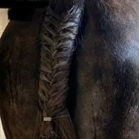 Trecce