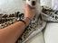 Immagine 4