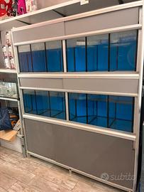 Batteria Espositori Acquari Pesci