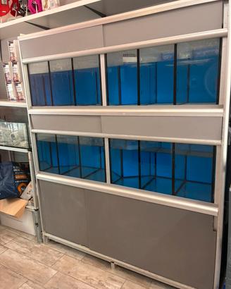 Batteria Espositori Acquari Pesci