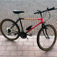 Bicicletta MTB RosaNera cambio Shimano .