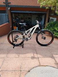Specialized stumpjumper evo expert 