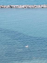 Casa appartamento villa indipendente semindioemden