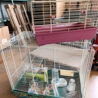 gabbia e accessori per conigli 