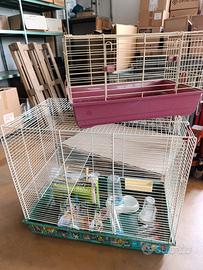 gabbia e accessori per conigli 