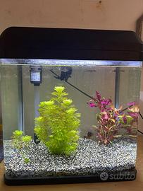 Acquario 30 L
