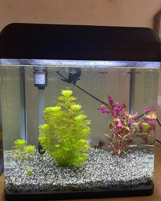 Acquario 30 L