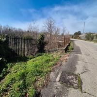 Frutteto con depositi zona Castagno Sant'Agata