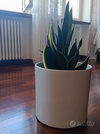 vaso portapiante 30X33 in ceramica resistente