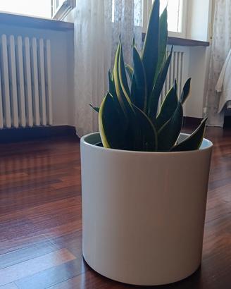 vaso portapiante 30X33 in ceramica resistente
