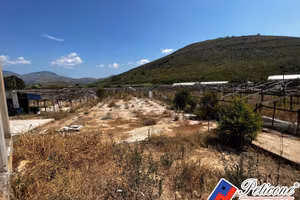 Terreno agricolo - Fondi