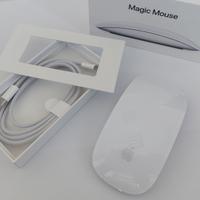 Apple magic mouse