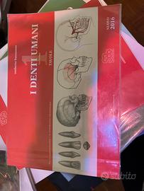 Libro di disegno  e tavole