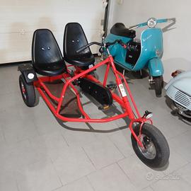 bicicletta triciclo 
