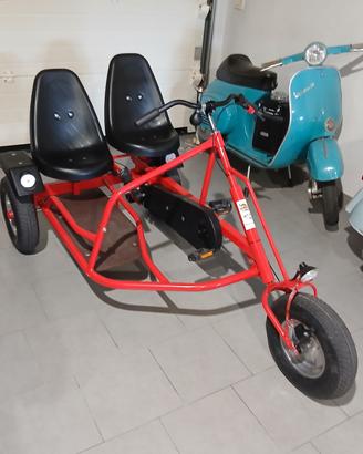 bicicletta triciclo 