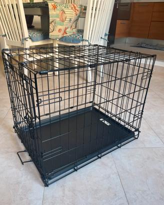 Kennel