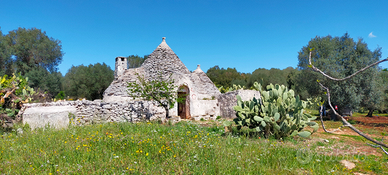 Trullo e terreno