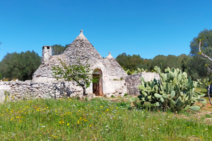 Trullo e terreno