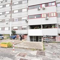 Zafferia, luminoso trivani con posto auto e cantin