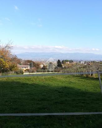 TER. AGRICOLO A MONTE COMPATRI