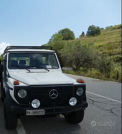 Mercedes Gd 300 w460 om605