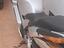 Immagine 2