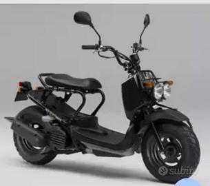 Honda zoomer
