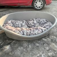 Cuccia cane
